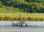 FZ018399 View from bird hive at campsite.jpg